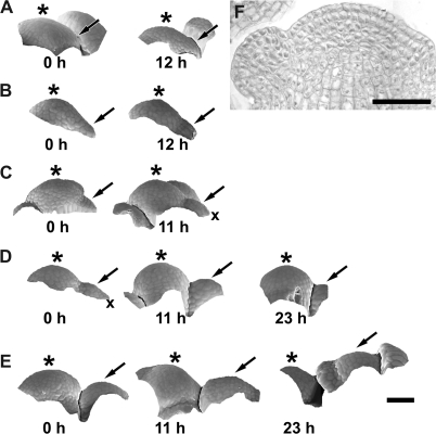 Fig. 15.