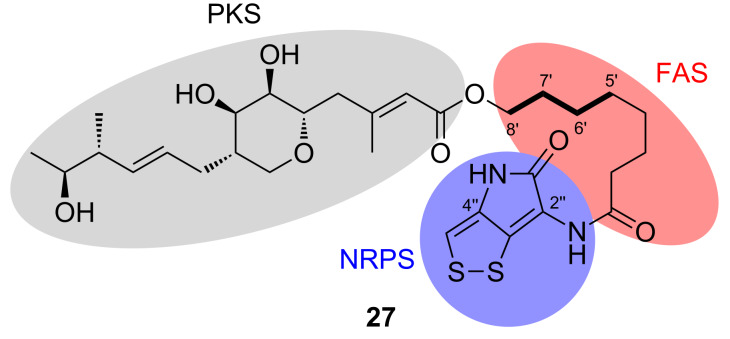 Figure 5