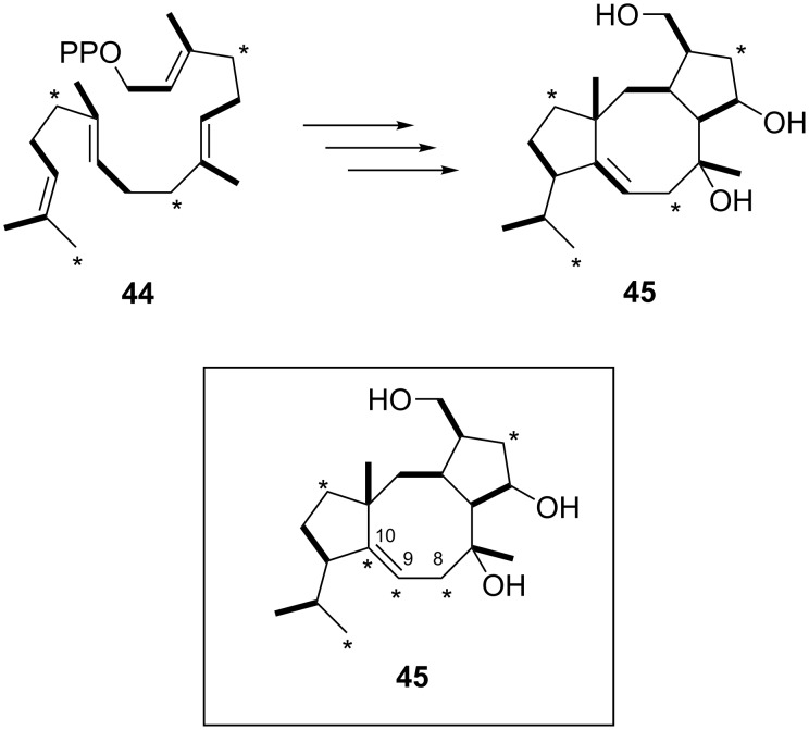 Scheme 8