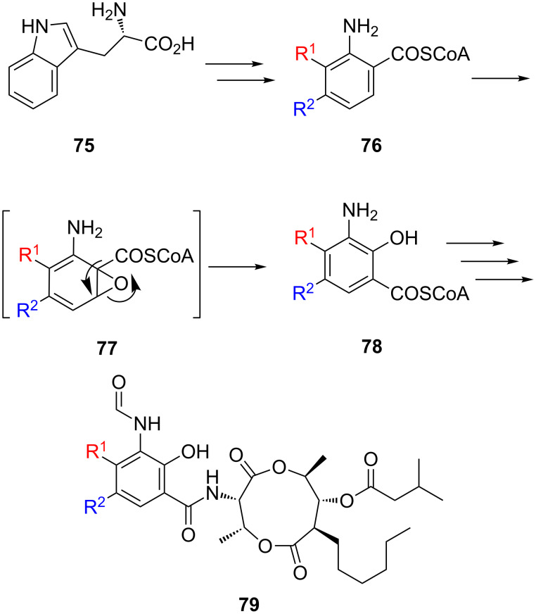 Scheme 14