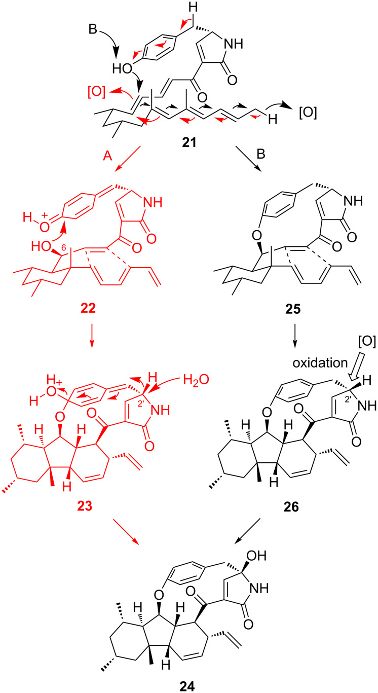 Scheme 6