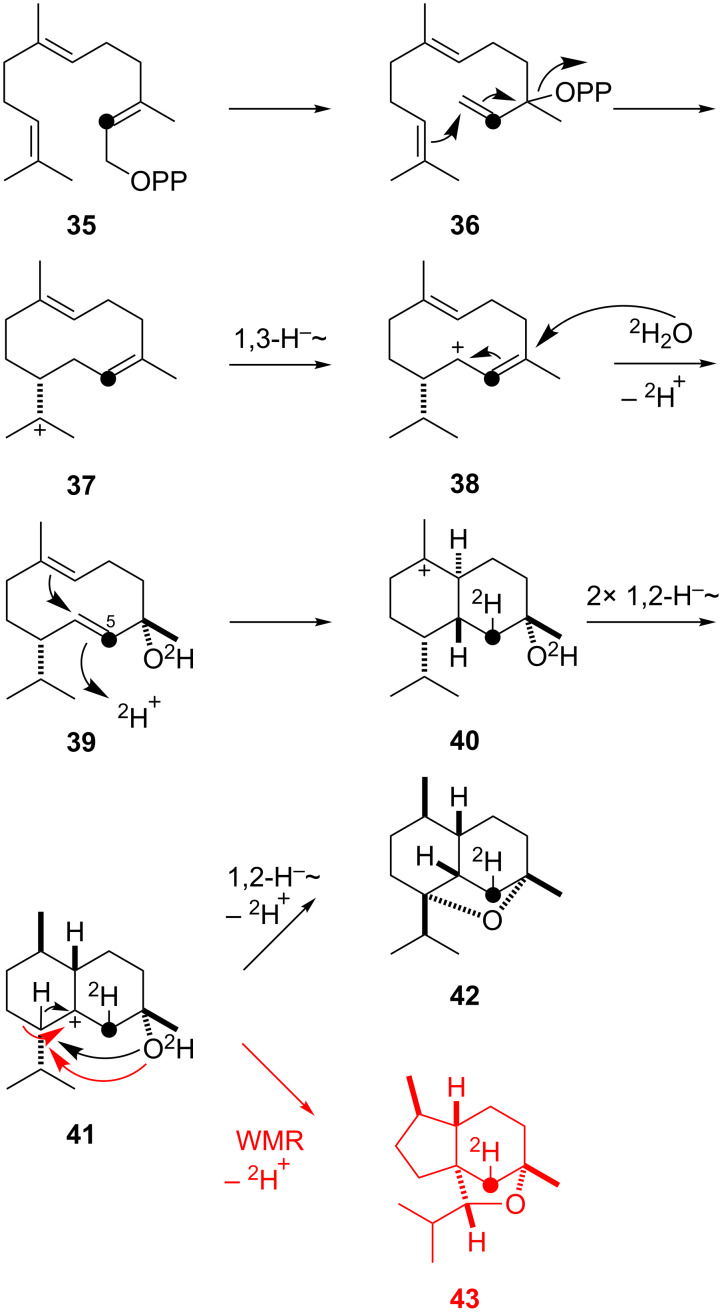 Scheme 7