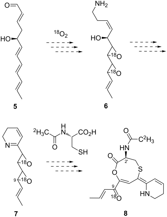 Scheme 2