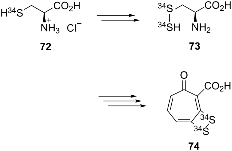 Scheme 13