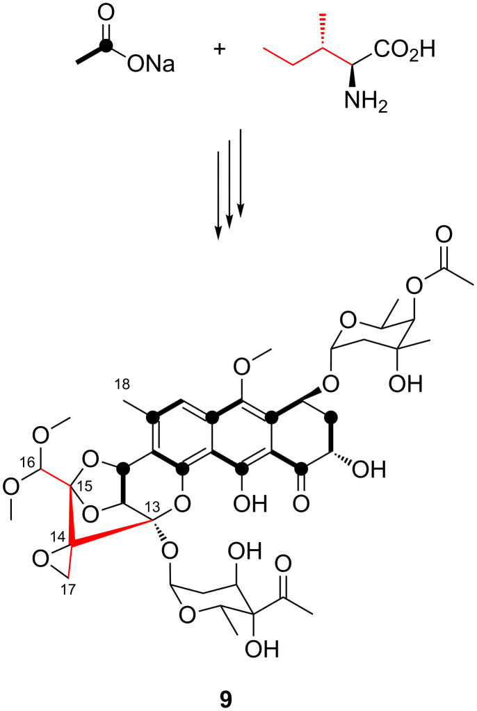 Scheme 3