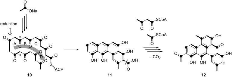 Scheme 4