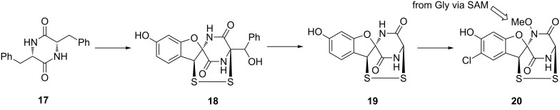 Scheme 5