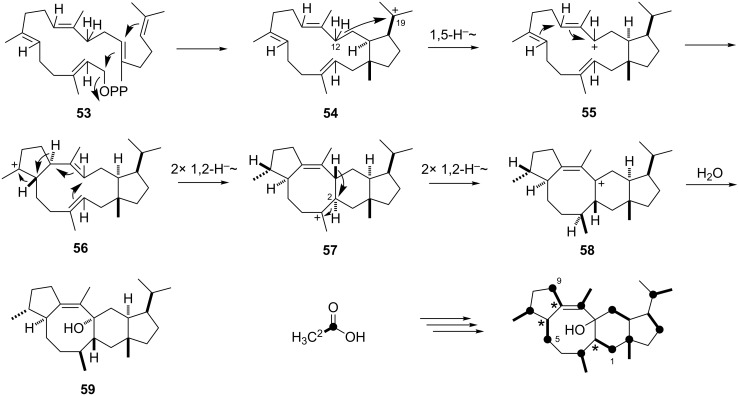 Scheme 10