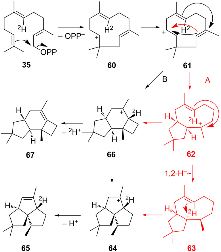 Scheme 11