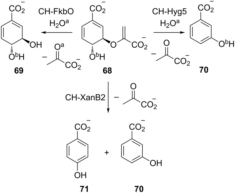 Scheme 12