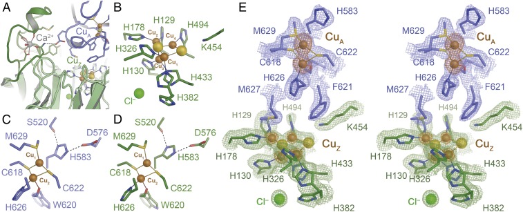 Fig. 3.