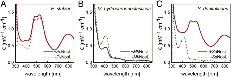 Fig. 5.