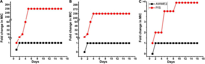 FIGURE 4