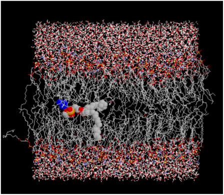 FIGURE 11