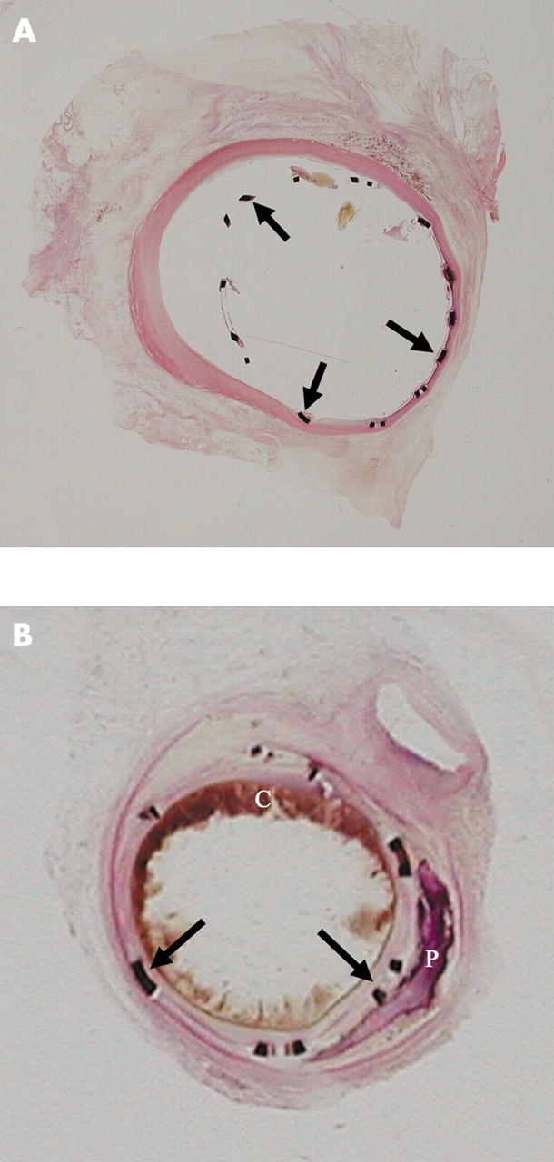 Figure 19