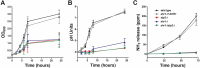 FIG 1