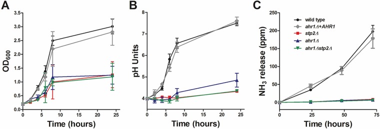 FIG 1