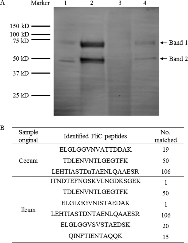 FIG 5