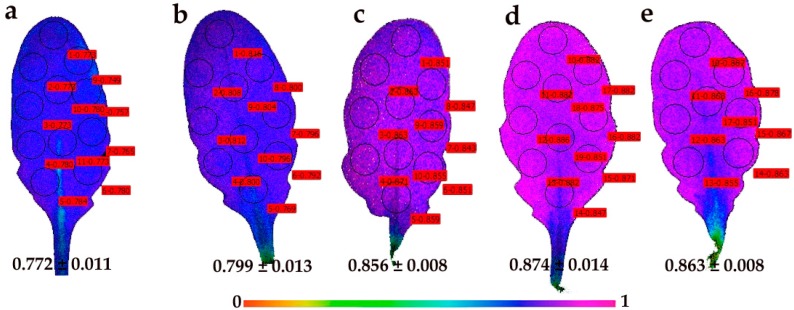 Figure 10