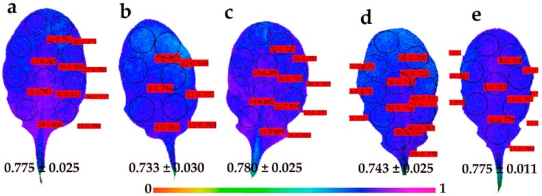 Figure 9