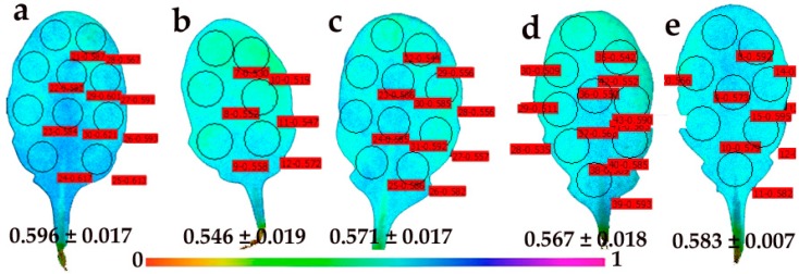 Figure 7