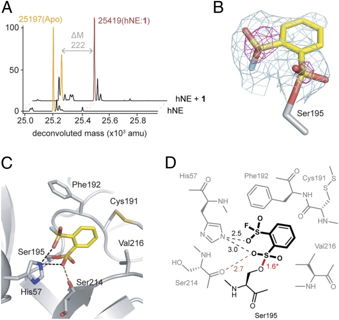 Fig. 4.