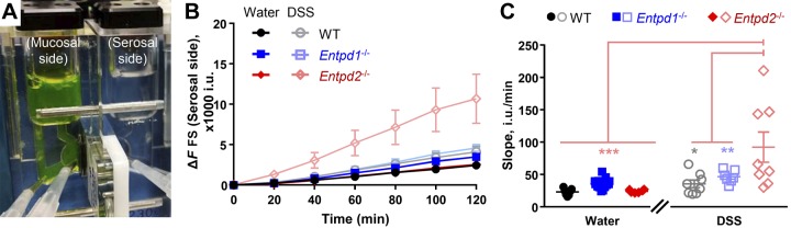 Fig. 4.