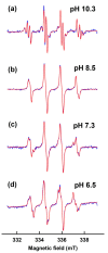 Figure 12