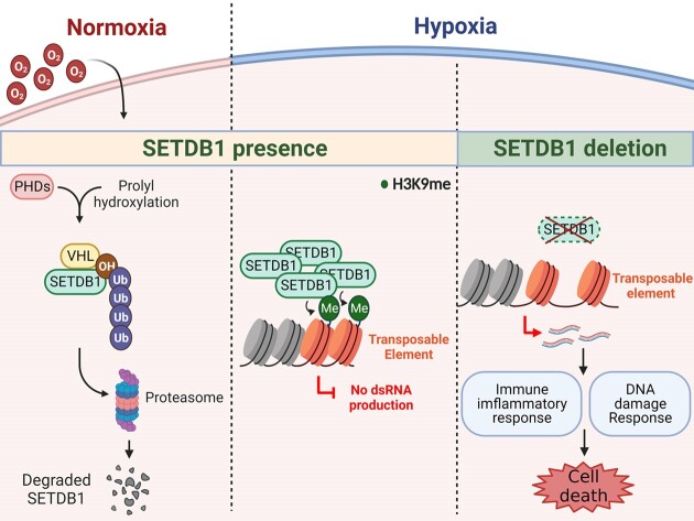 Graphical Abstract