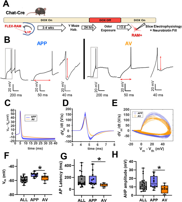 Figure 9: