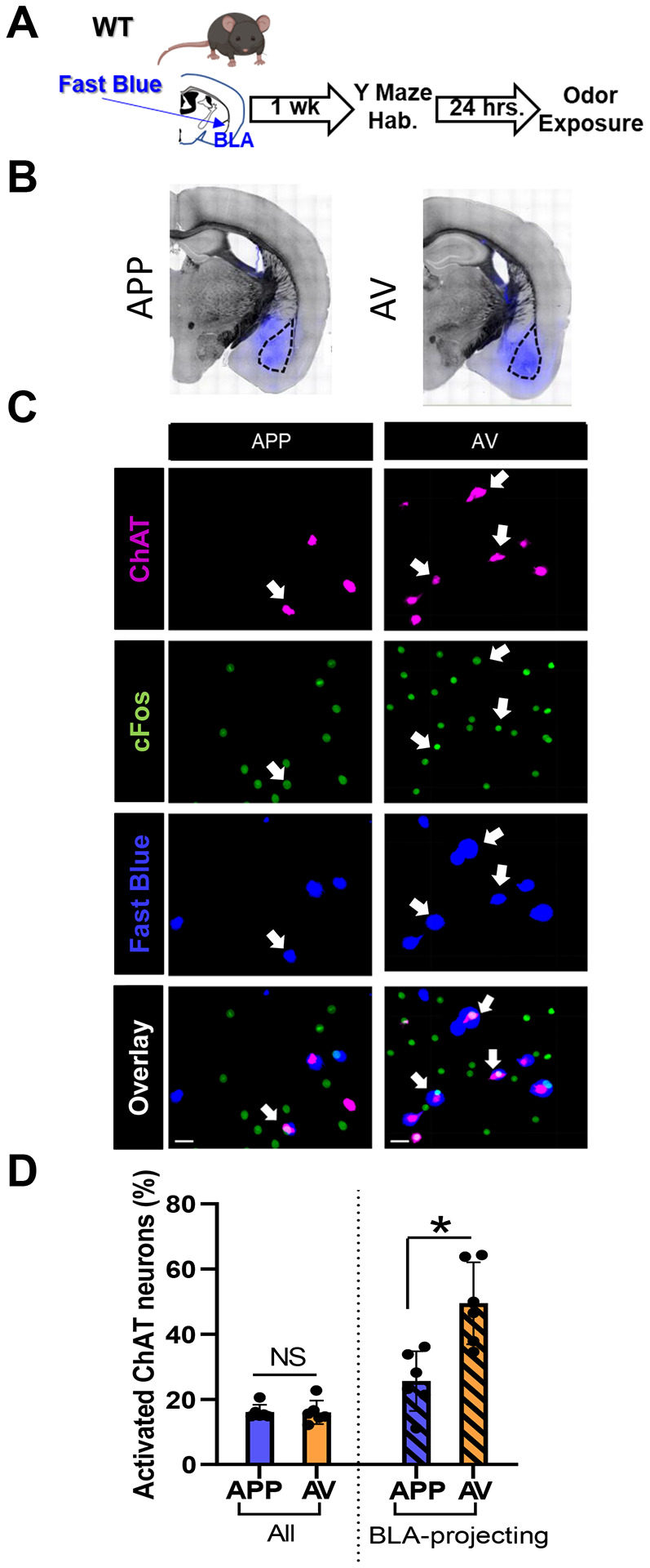 Figure 11: