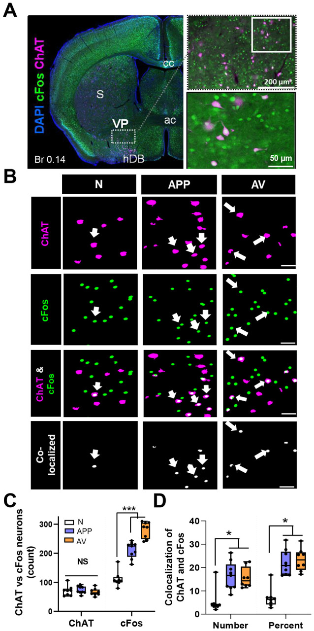 Figure 2: