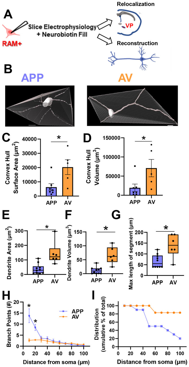 Figure 10: