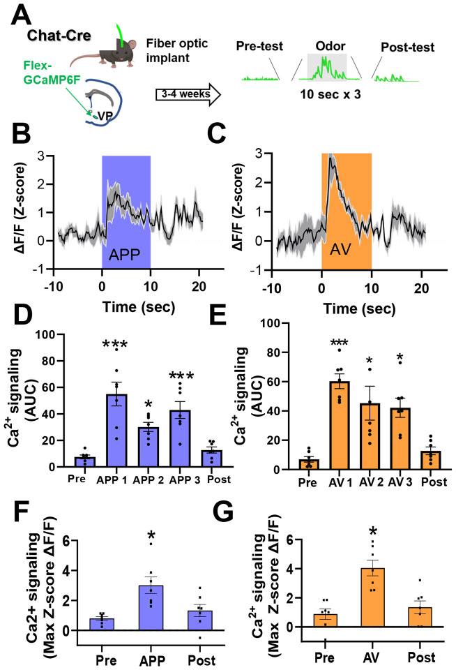 Figure 3: