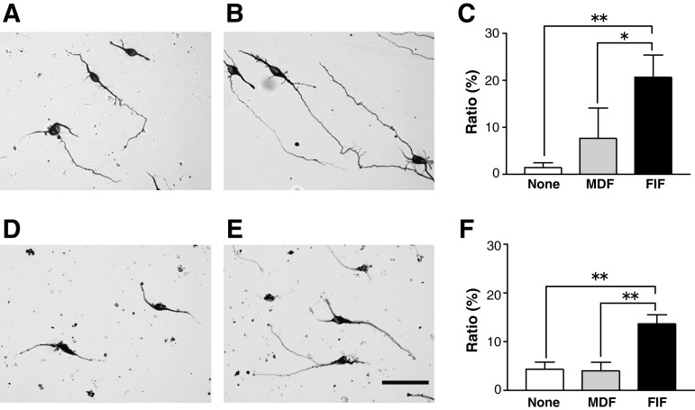 FIG. 7.