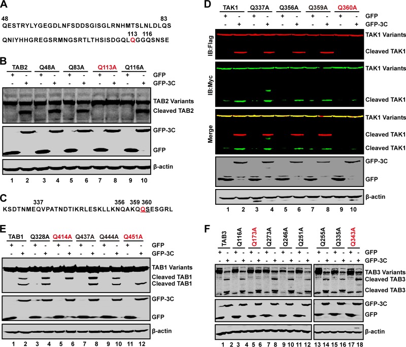 FIG 6