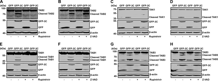 FIG 3