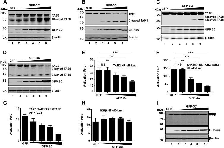 FIG 2