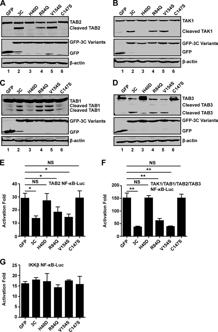 FIG 4