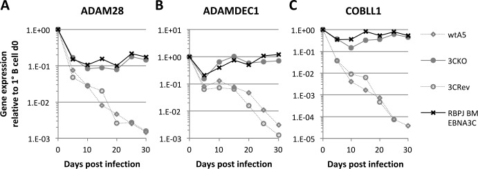 Fig 10