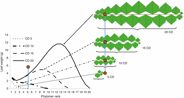 Fig. 5.