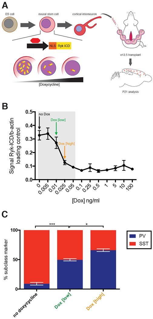 Figure 6.