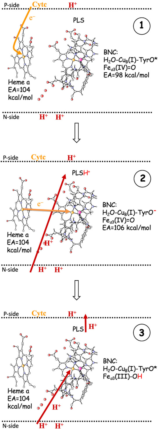 FIGURE 3