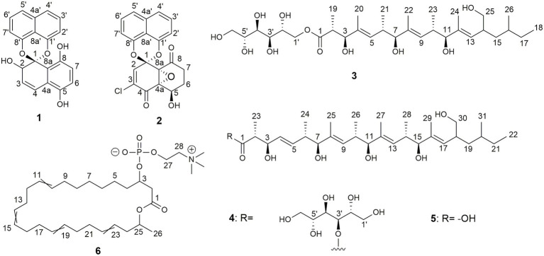 Figure 6