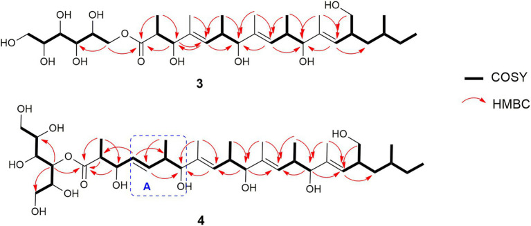 Figure 8