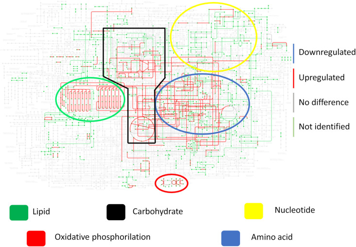 Figure 7