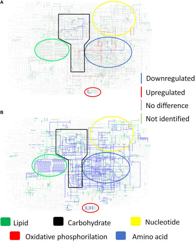 Figure 6