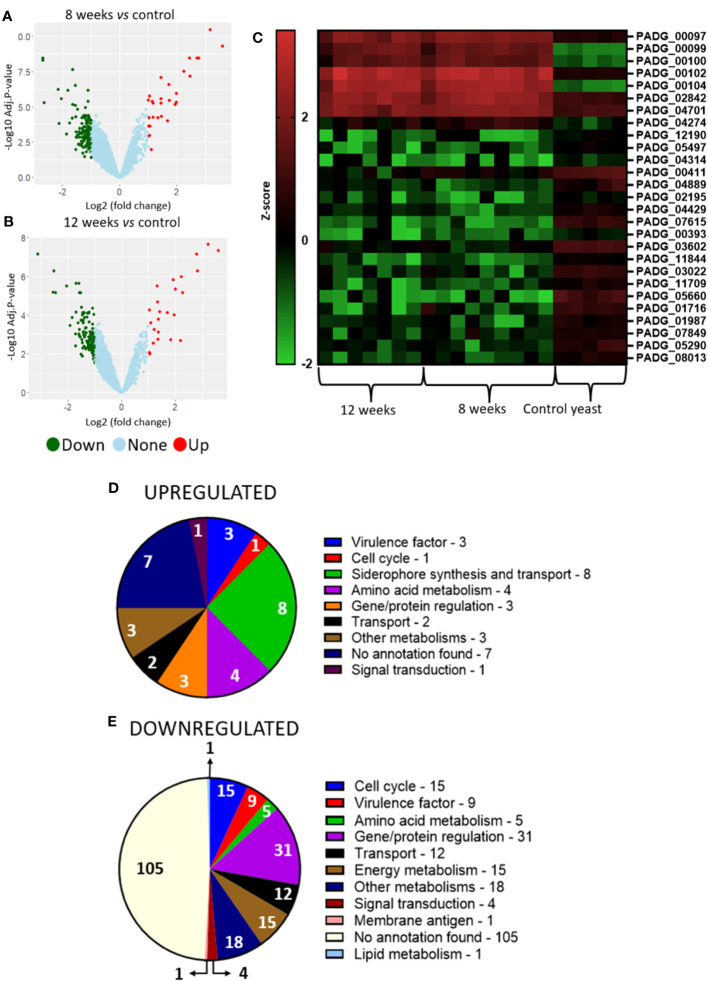 Figure 4