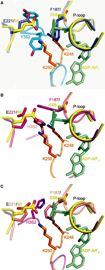 Figure 10.