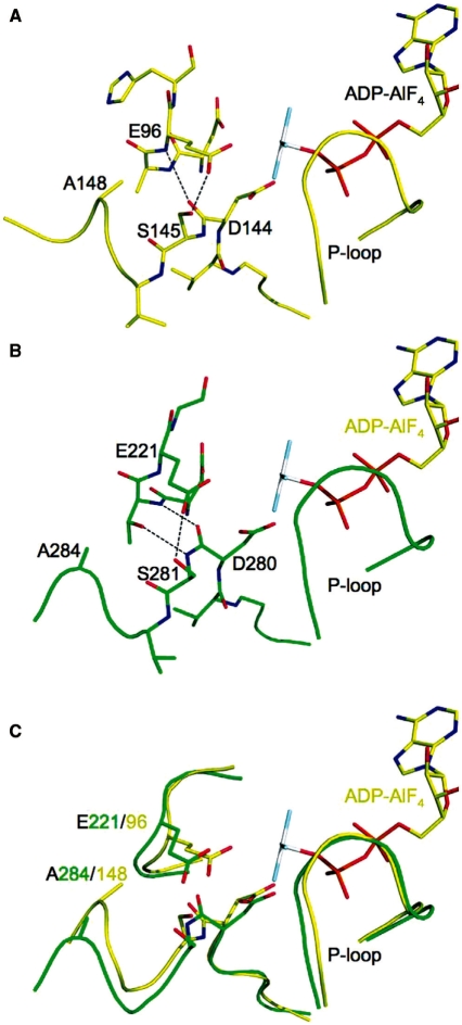 Figure 11.